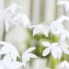 White Origami Flower Wedding Backdrop Ginger Ray - Afbeelding 3