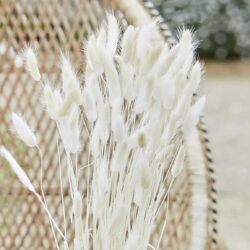 Natural Off White Bunny Tails Ginger Ray - Afbeelding 3