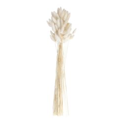 Natural Off White Bunny Tails Ginger Ray - Afbeelding 2