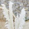 Bleached Pampas Grass Decorations Ginger Ray - Afbeelding 3