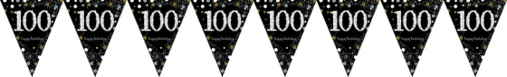 Vlaggenlijn, Slinger Sparkling Gold 100 / 4mtr